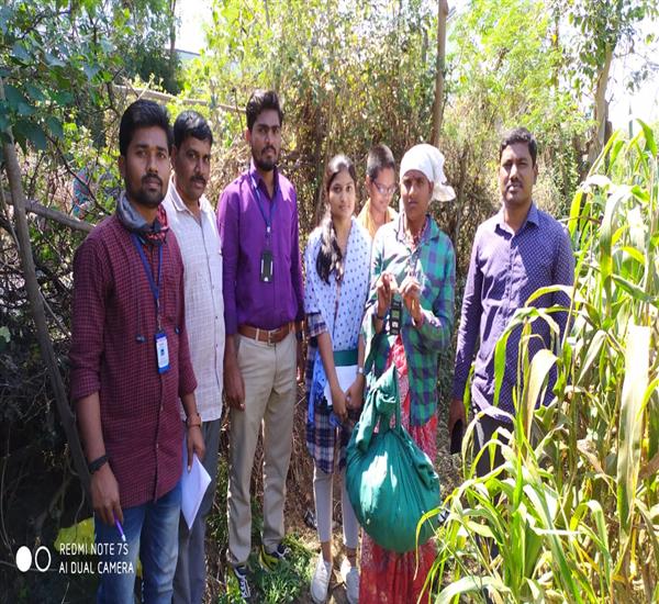 Kumuram Bheem District                                                                                                                                                                                                                                     - Crop Cutting Expts.,                                                                                                                                   - Jowar CCE conducted at Ankusapur village of Asifabad mandal.                                                                                                                                                                                                    - dt.18/02/2020          